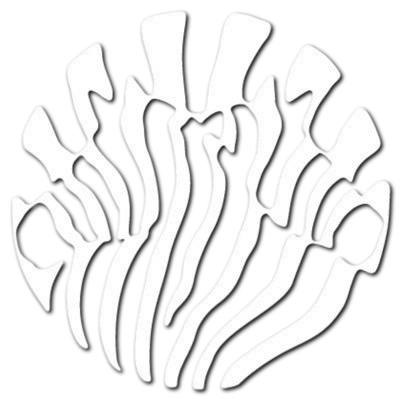 PLATOON LOGO TITLE