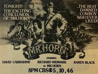 MR. HORN tv poster