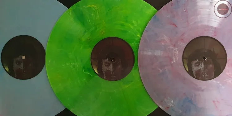 George A. Romero's Dawn Of The Dead vinyl edition galletas