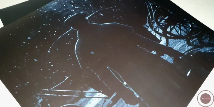 Nosferatu banda sonora detalle funda vinilo