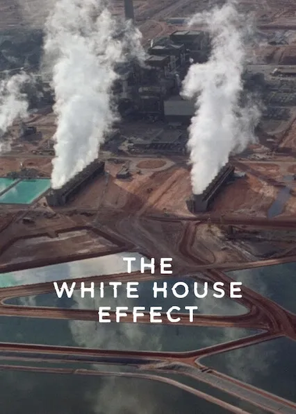 The White House Effect poster