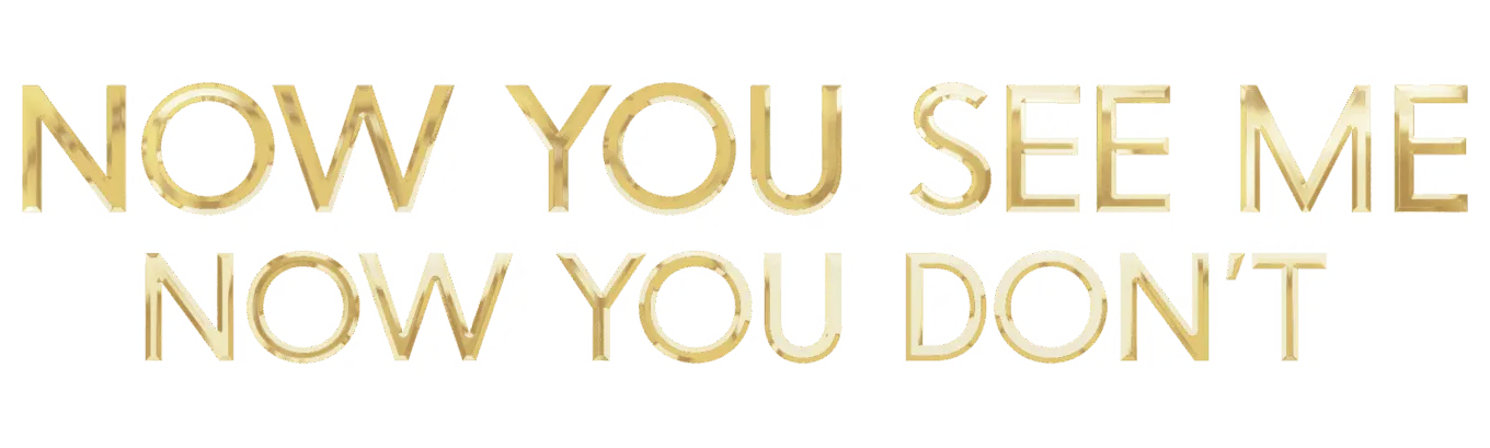 Now You See Me Now You Don’t logo title