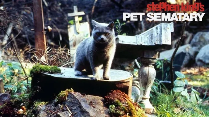 Stephen King's Pet Sematary scene
