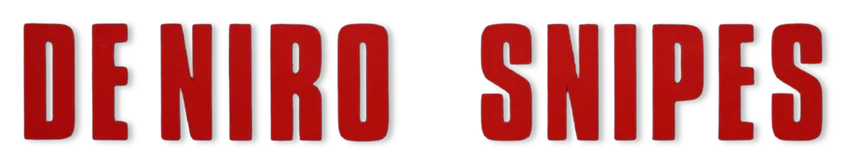 THE FAN logo De Niro Snipes