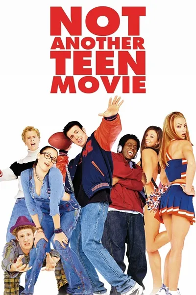 Vinyl not another teen movie poster