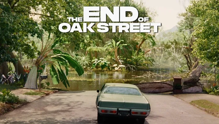 Scene The End of Oak Street