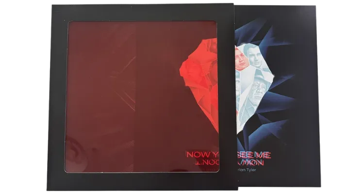 Now You See Me Now You Don't soundtrack enjoy the ride records