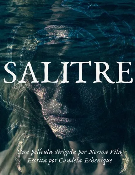 Salitre poster