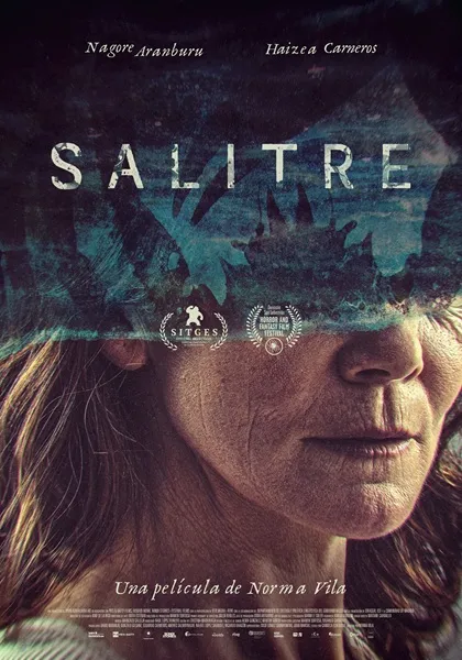 salitre movie poster
